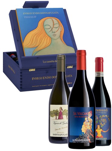 Inseguendo Donnafugata (3 bottiglie) con cavalletto da Tavolo 