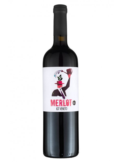 Merlot Veneto IGT 