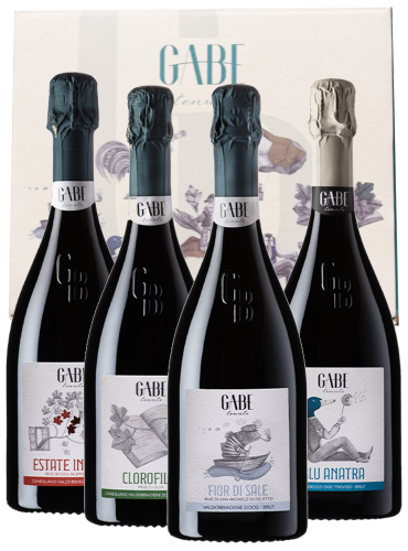 ASTUCCIO PREMIUMBOXPER 4 BT GABE