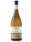 Caeles Grillo