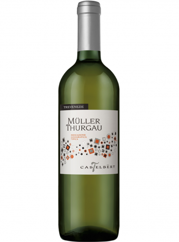 Müller Thurgau Trevenezie IGT