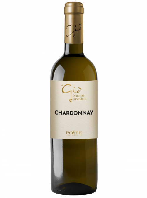 Chardonnay Linea Giò Veneto IGT