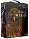 Asio otus Rosso Enigmatico Bag in Box