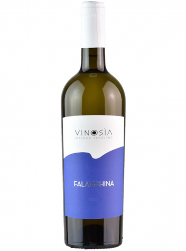 Beneventano Falanghina Vinosia