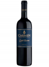 Gran Reserva Merlot Vigna Carmen