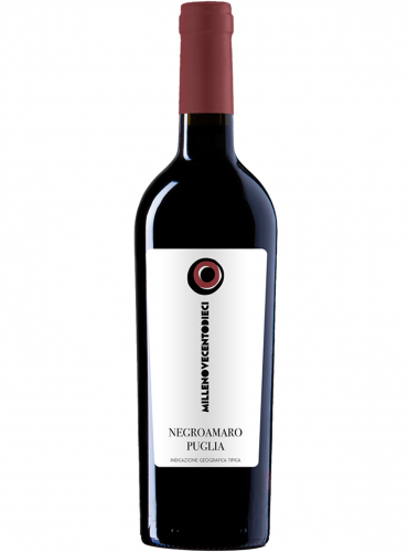 Negroamaro Dieci.Nove.Dieci Puglia IGT