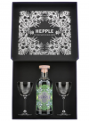 Hepple Gin con 2 calici
