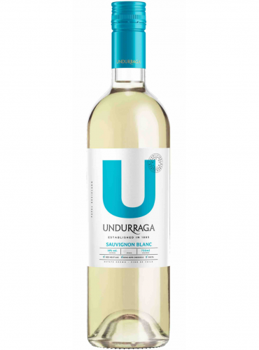 Sauvignon Blanc Wine of Chile Valle Central