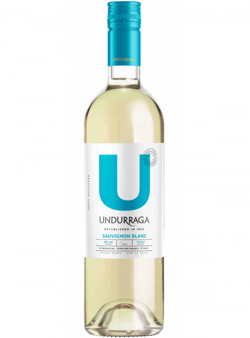 Sauvignon Blanc Wine of Chile Valle Central