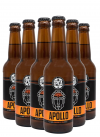Set birra Apollo (6 x 33 cl)