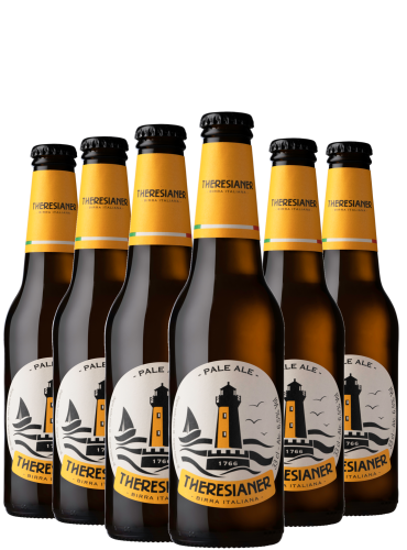 Set Pale Ale (6 x 33cl)