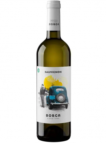 Sauvignon Trevenezie IGT
