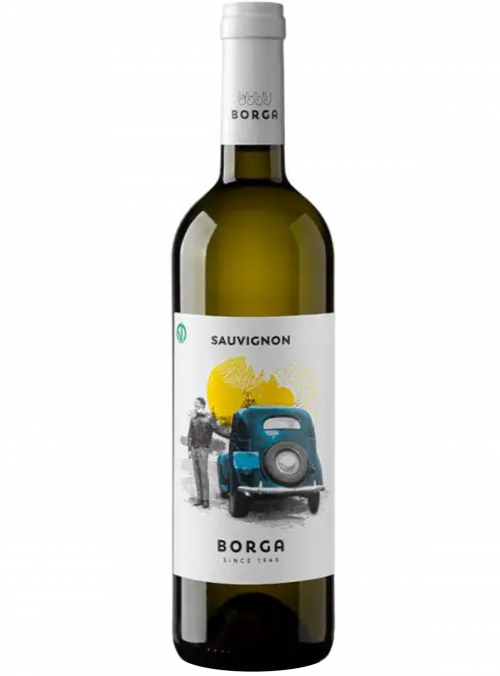 Sauvignon Trevenezie IGT