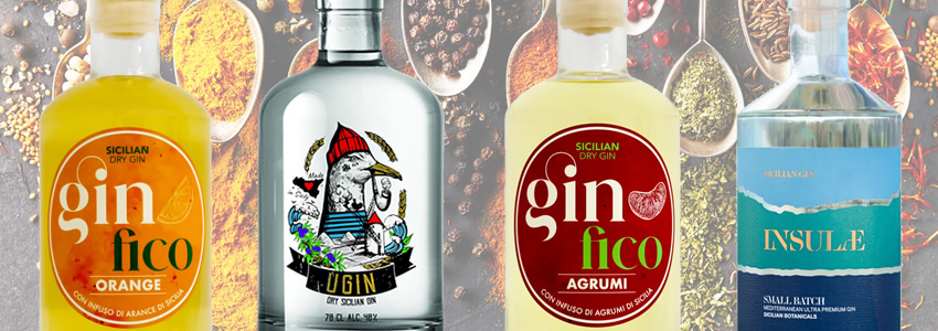 Selezione gin