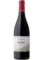 Nocera
