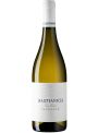 SAUVIGNON BLANC CL75 2024 BASTIANICH