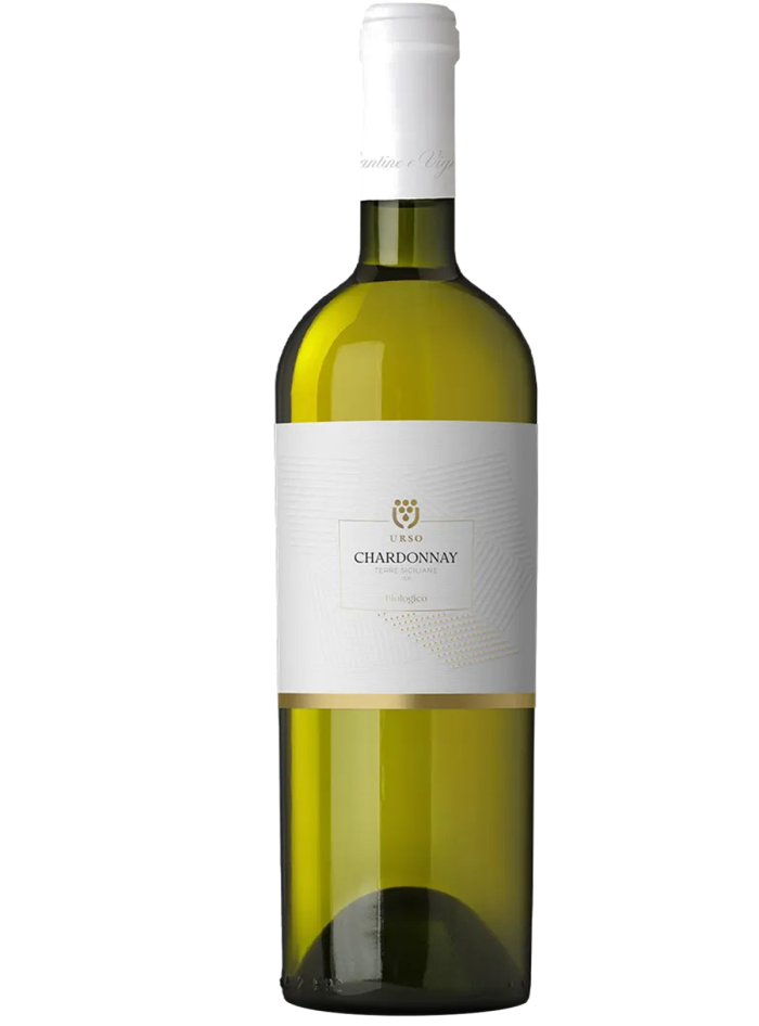 CHARDONNAY CL75 2024 URSO CHARDONNAY CL75 2024 URSO