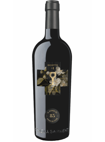 Diciotto+1 Primitivo Salento  Rosso IGT