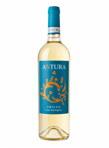 ANTURA GRILLO CL 752022 MAGGIOVINI