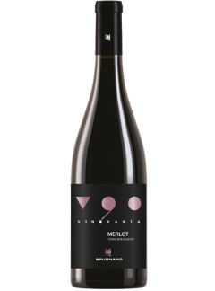 V90 Merlot Terre Siciliane IGT 