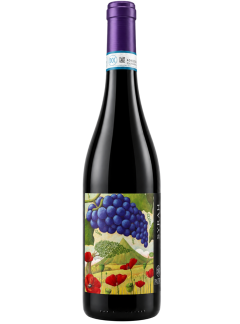 Frappato Sicilia DOC