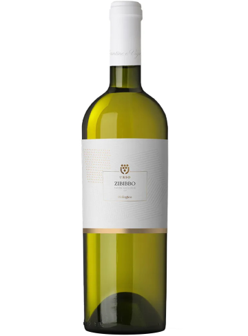 ZIBIBBO CL75 2024 URSO