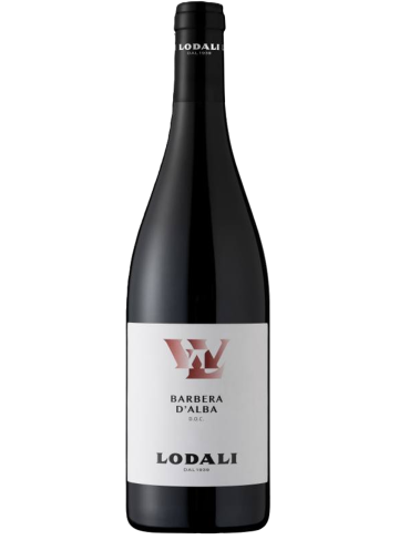 BARBERA D.ALBA DOC 2024 CL75 LODALI