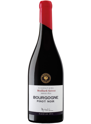 Pinot Noir Bourgogne AOP