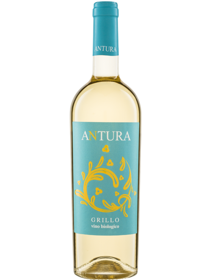 ANTURA GRILLO CL 752022 MAGGIOVINI ANTURA GRILLO CL 752022 MAGGIOVINI
