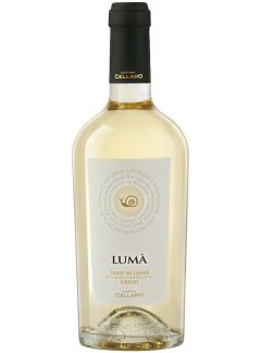 Lum&agrave; Grillo