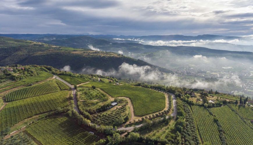 Vini Allegrini, patria della Valpolicella