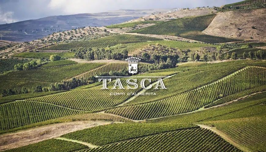 Tasca d’Almerita: vini sostenibili, senza paura di innovare
